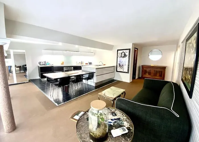 *Victoria Plaza* Loft Au Coeur De Vichy