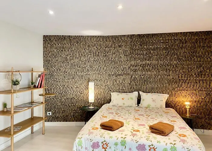*Victoria Plaza* Loft Au Coeur De Vichy
