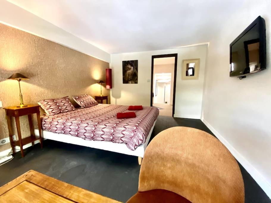 *victoria Plaza* Loft Au Coeur De * Vichy