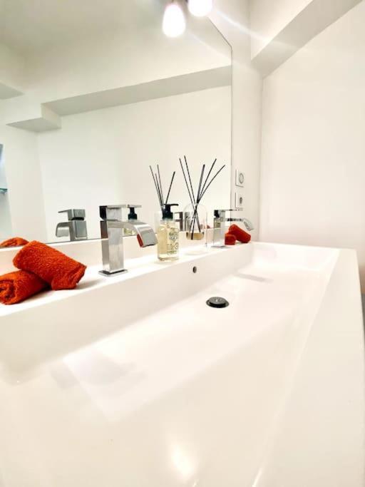 Appartement *victoria Plaza* Loft Au Coeur De Vichy