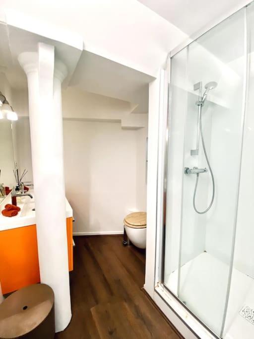 *victoria Plaza* Loft Au Coeur De * Vichy